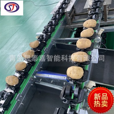 雪梨分選機 蘋果檢測外觀瑕疵選果機 土豆內部檢測空心霉心系統(tǒng)
