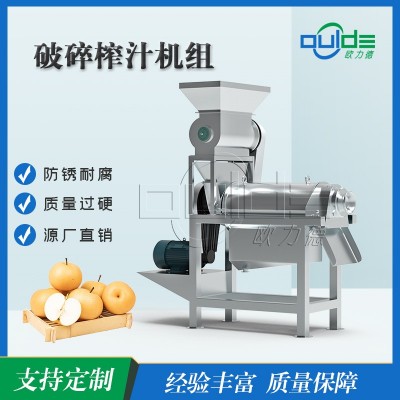廠家直銷不銹鋼304工業螺旋擠壓水果破碎加榨汁秋月梨破碎榨汁機