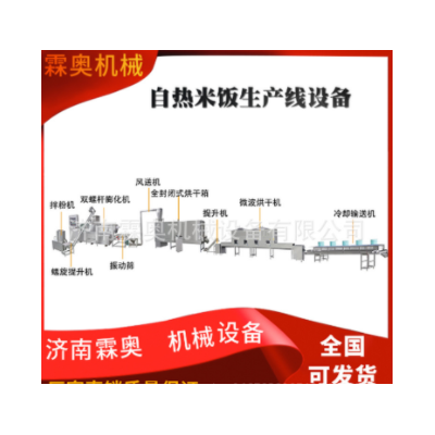 霖奧速食自熱米飯生產(chǎn)機(jī)器 人造復(fù)合營養(yǎng)米加工設(shè)備 食品膨化機(jī)械