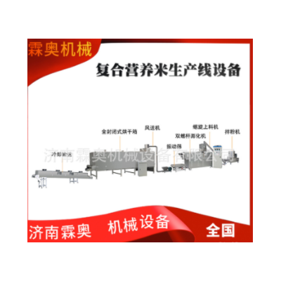 霖奧 RN70速食自熱米飯加工機(jī)器 人造復(fù)合營養(yǎng)大米生產(chǎn)線