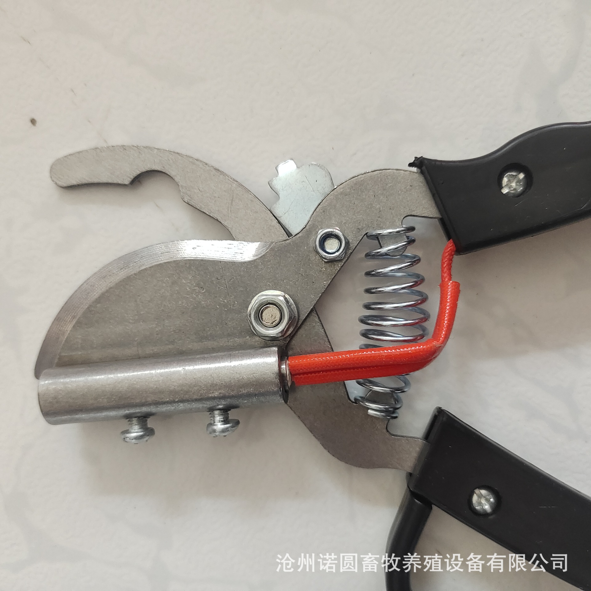 微信圖片_202112071449456