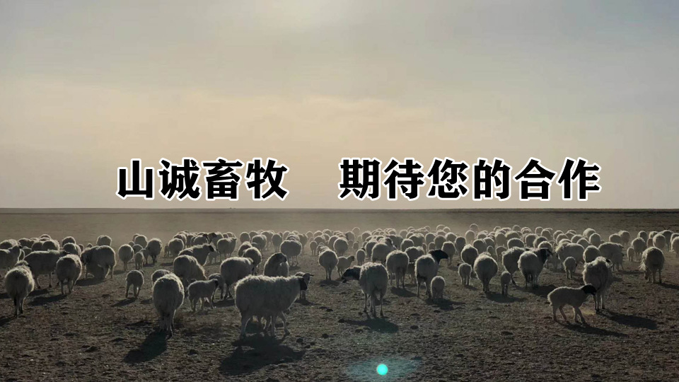 微信圖片_20220428150839