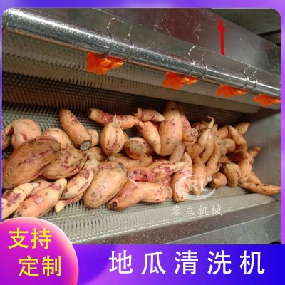 現(xiàn)貨毛刷清洗機(jī) 輥刷式土豆胡蘿卜清洗去泥機(jī) 全自動紅薯清洗機(jī)
