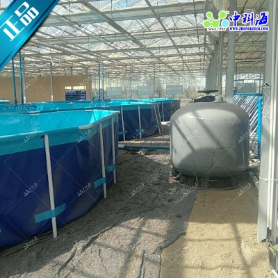 九節蝦南美白對蝦室內養殖工廠化養殖循環水養殖