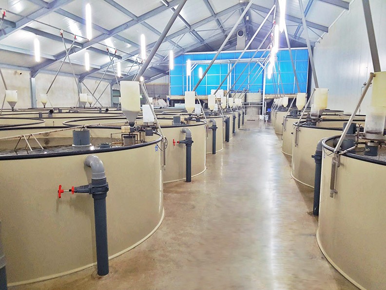 大型養魚池 循環水高密度養殖室內工廠化養魚耐腐蝕塑料PP魚池