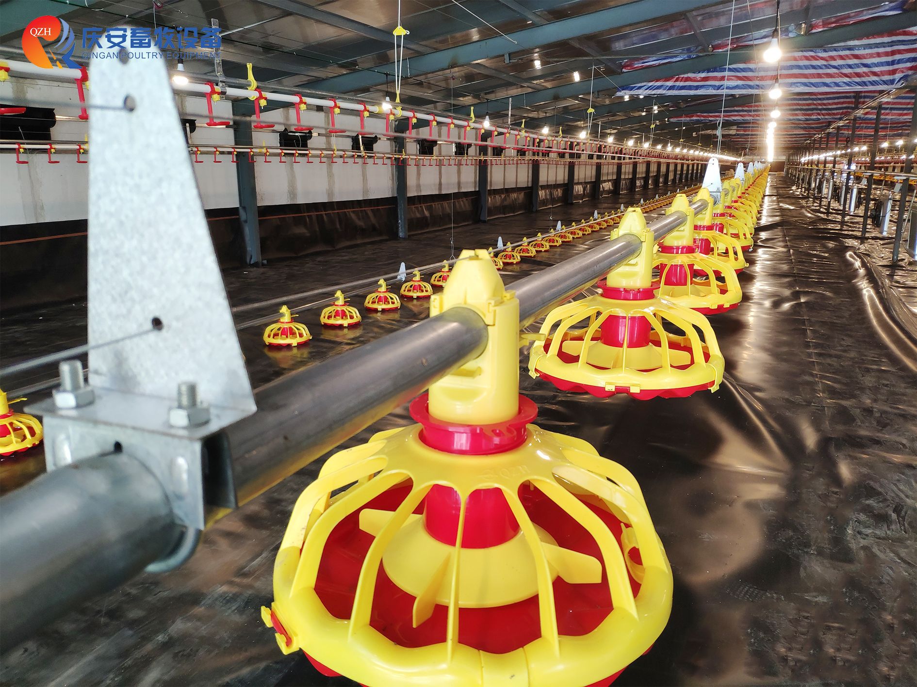 （第二行第二張）