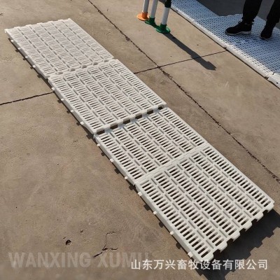 養(yǎng)豬場 豬糞板 塑料豬糞板 母豬產(chǎn)床 規(guī)格
