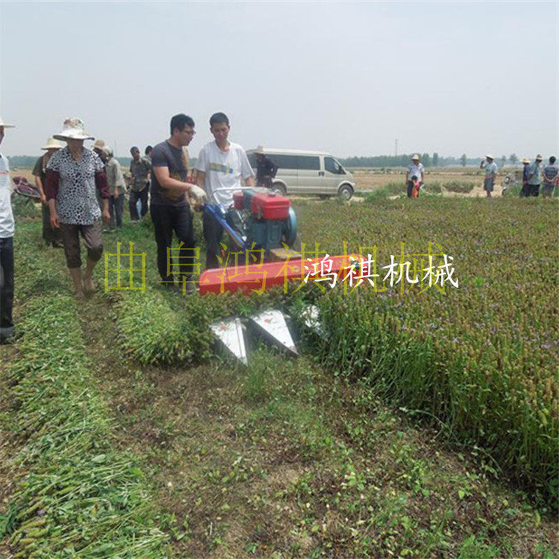 TB2CAI8fVXXXXcKXXXXXXXXXXXX_!!