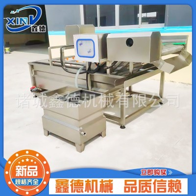 商用不銹鋼葉菜類清洗機(jī) 萵苣清洗設(shè)備 全自動(dòng)果蔬氣泡清洗機(jī)