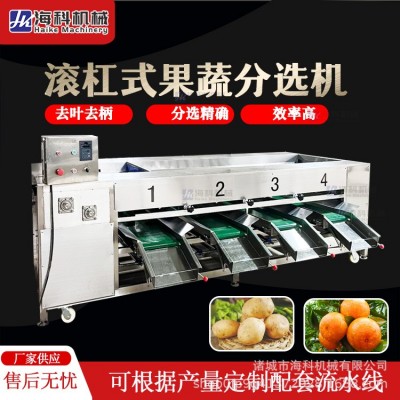 商用滾杠分級機 紅薯馬鈴薯小番茄水果分選機 馬蹄芒果檸檬選果機