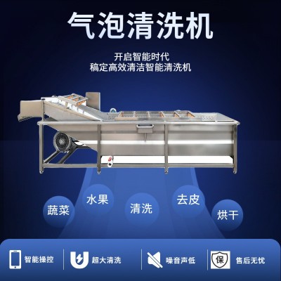 水果蔬菜清洗機(jī)全自動(dòng)噴淋式果蔬清洗機(jī) 葉類蔬菜高壓氣泡清洗機(jī)
