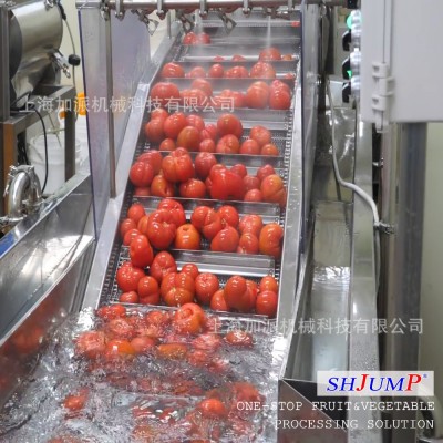 番茄醬罐頭加工生產線 番茄沙司調配設備 番茄塊罐頭加工設備