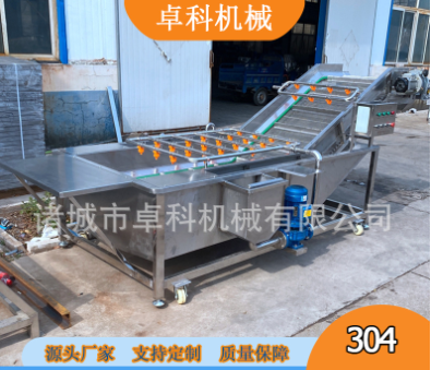 果蔬清洗機(jī)水果蔬菜渦流氣泡洗菜機(jī)土豆蘿卜清洗機(jī)商用臭氧洗菜機(jī)