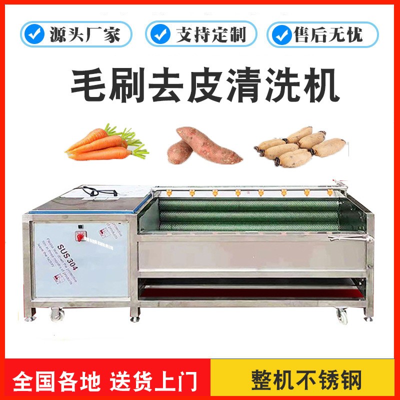 平行海蠣子毛刷清洗機(jī) 貝殼生鮮去泥機(jī)械 生蠔不銹鋼毛輥洗菜設(shè)備