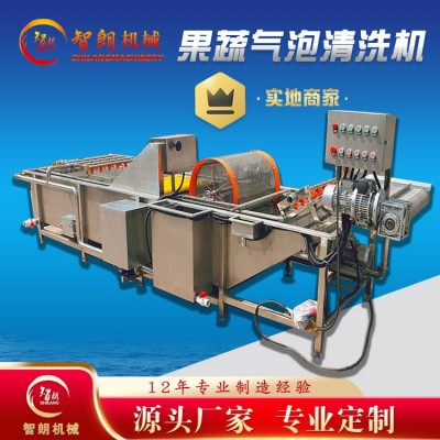 果蔬氣泡清洗機 全自動連續式清洗設備 去雜汽泡清洗機廠家
