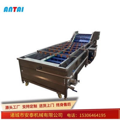 胡蘿卜毛輥去皮清洗機(jī) 土豆毛刷清洗機(jī) 芹菜連續(xù)水浴氣泡清洗機(jī)