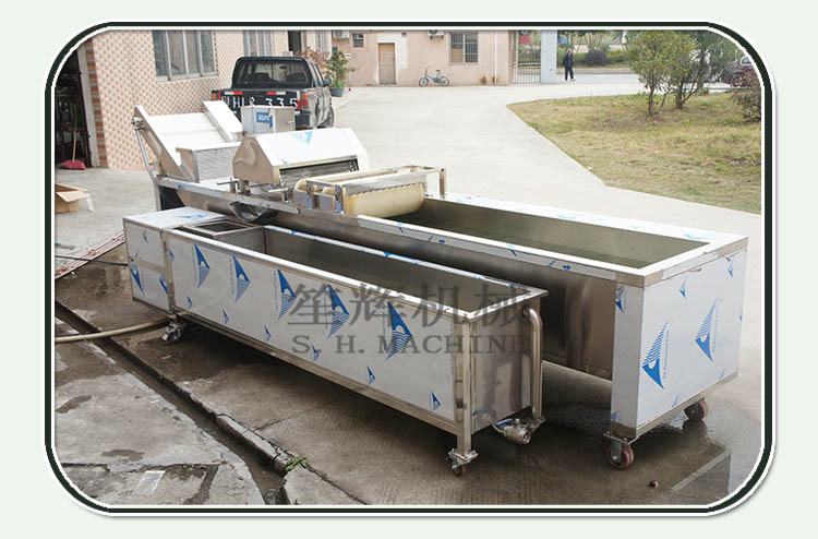 笙輝批發 汽泡清洗機洗果機大棗果蔬清洗機 供貨商