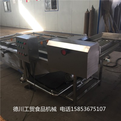 高壓噴淋菠菜氣泡清洗機 蘋果氣泡清洗機 小龍蝦氣泡清洗機