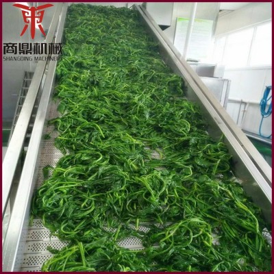 果蔬清洗機 氣泡沖浪噴淋臭氧洗果機 臭氧去農殘清洗設備