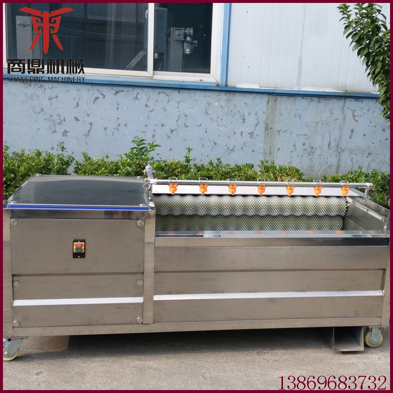 廠家供應紅薯清洗機 不銹鋼毛刷去皮清洗機 根莖類蔬菜毛輥清洗機