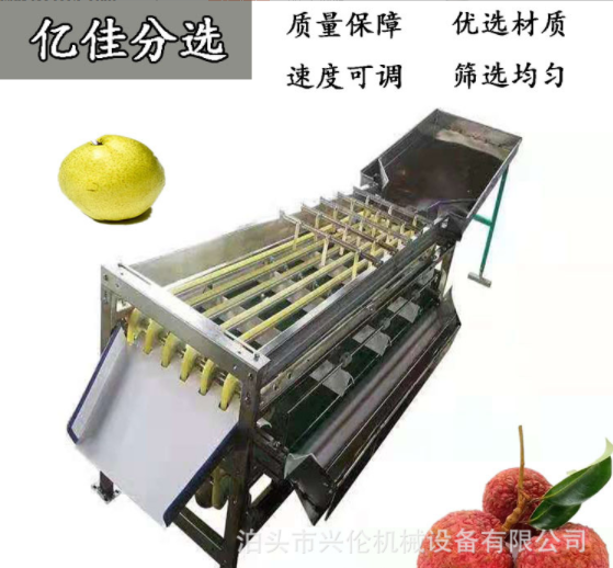無花果分揀機 臍橙選果機 不銹鋼材質斜板出料果蔬分選設備