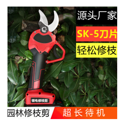 電動修枝剪園林剪刀果樹樹枝剪鋰電剪果樹修枝剪刀電動修枝剪