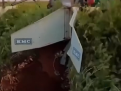 欣賞外國人如何收獲成噸的花生