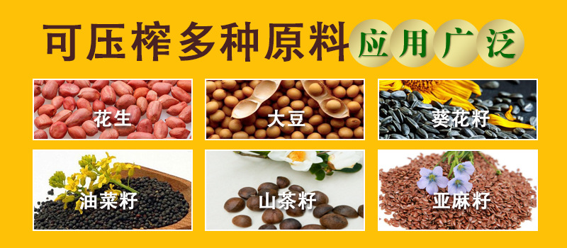 物料-黃 拷貝.jpg