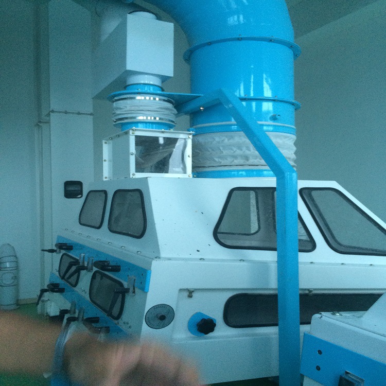 1996856212_955267657.310<i></i>x310