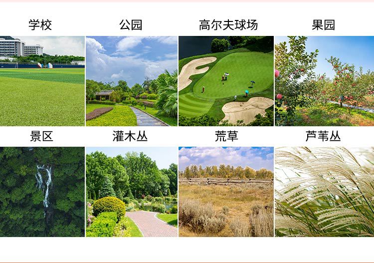 駕駛式草坪機(jī)_07