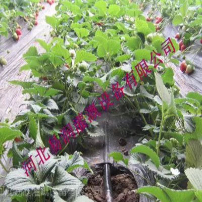 山西滴灌管灌溉推廣 前景好節(jié)能***微灌管