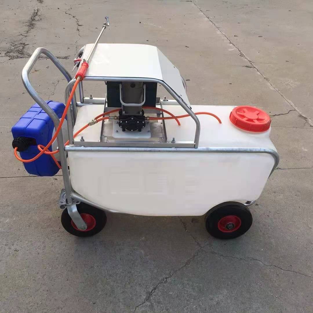 推車式噴霧消毒一體機手推式電動高壓噴霧機 大棚蔬菜消毒打藥機