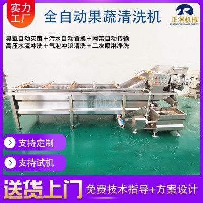 現(xiàn)貨商用果蔬白菜清洗機 全自動凈菜加工設(shè)備 洗蔬菜水果的清洗機