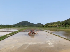 農忙正當時！機械化插秧助力街口街艾米稻香農業園按下春耕“加速鍵”