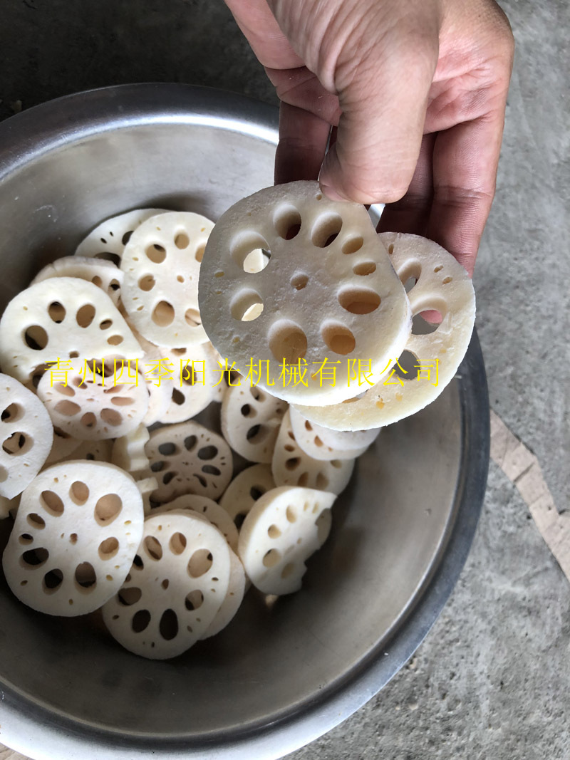 循環鏈條式速凍機