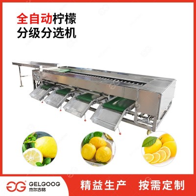 滾杠選果機(jī) 臍橙分揀機(jī) 果蔬撿果設(shè)備 臍橙分選機(jī)設(shè)備 檸檬分級機(jī)