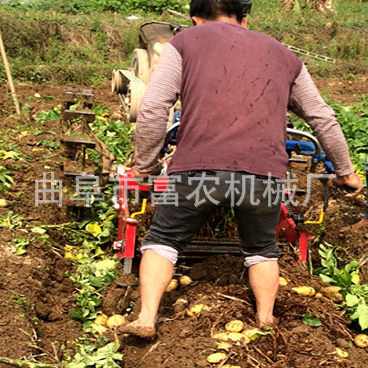 土豆收獲機(jī)