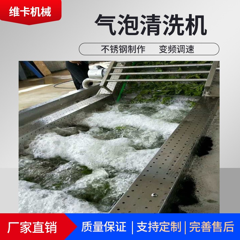 定制波浪式氣泡清洗機 快速蘋果清洗設備 廠家變頻氣泡清洗機