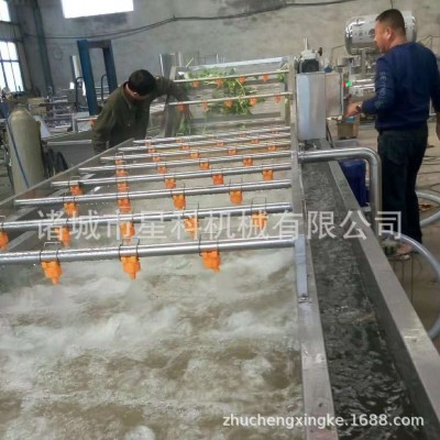 商用荔枝小蔥清洗風(fēng)干成套設(shè)備 根莖類蔬菜清洗機(jī) 藍(lán)莓木耳清洗機(jī)