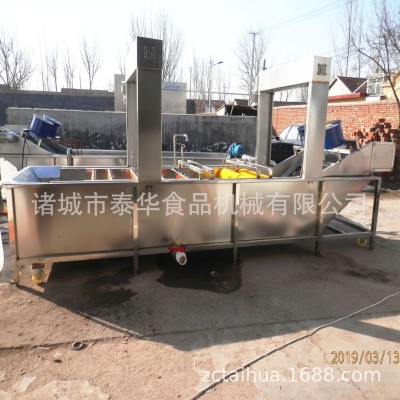 廠家銷售 蘆薈泥土清洗機 全自動蘆薈表面清洗機 蘆薈表面清洗機