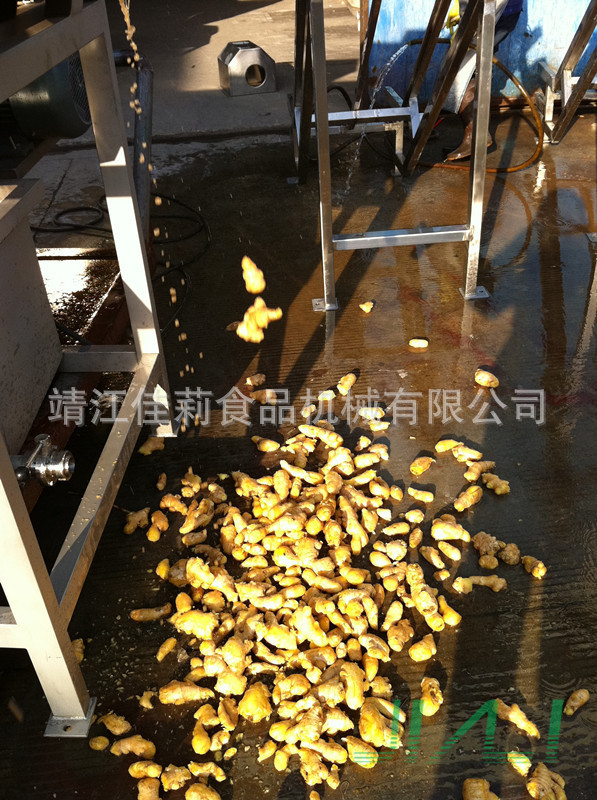 滾筒清洗機(jī)（生姜清洗效果）