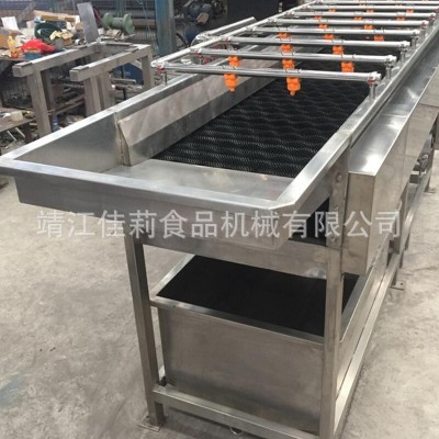 水平毛刷清洗機 刷果機 橙子紅棗芒果柑橘清洗機