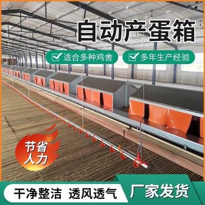 自動產蛋箱 禽畜自動產蛋設備 廠家供應框架式蛋箱