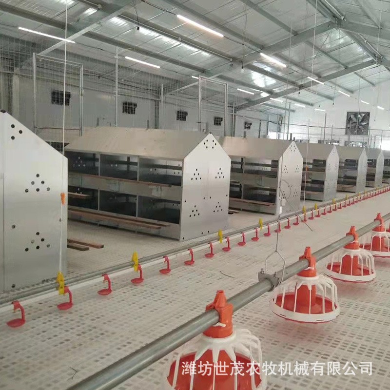 新型自動養殖設備產蛋箱產蛋窩 鍍鋅板母雞產蛋箱禽類集蛋窩雞窩