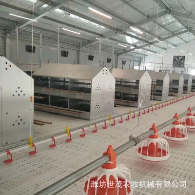 新型自動養殖設備產蛋箱產蛋窩 鍍鋅板母雞產蛋箱禽類集蛋窩雞窩