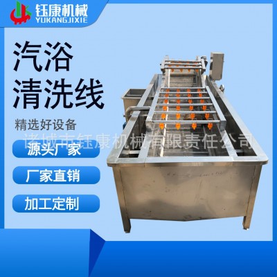 蔬菜清洗線 3米果蔬氣泡清洗線生產廠家 定制臭氧果蔬清洗生產線