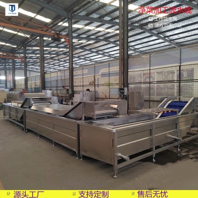 辣椒清洗機 不銹鋼果蔬氣泡清洗流水線 葉類蔬菜清洗設(shè)備