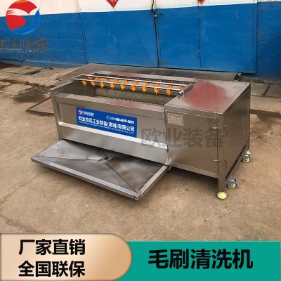 廠家生產嫩姜鮮姜去皮清洗機 304不銹鋼毛輥清洗機 洗姜機