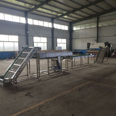 全自動毛豆清洗機 洗毛豆機器 質量保證 舉報