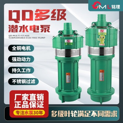 QD多級潛水泵家用農(nóng)用灌溉高揚程廠家直銷單相220V小老鼠現(xiàn)貨批發(fā)